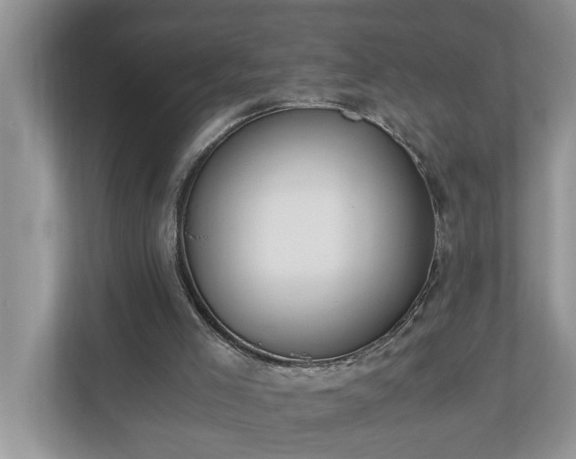 X0000110890005200906251327
