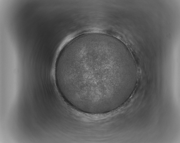 X0000110890006200906251327