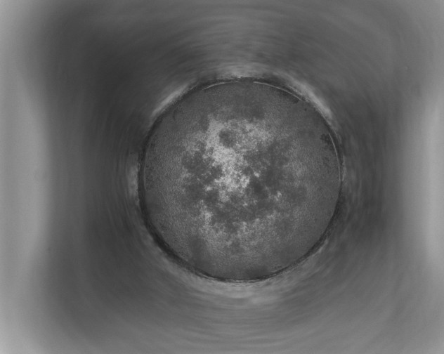X0000110890010200906251327
