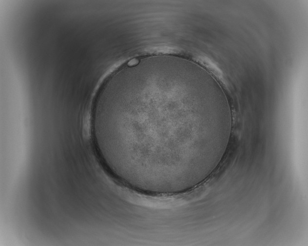 X0000110890012200906251326