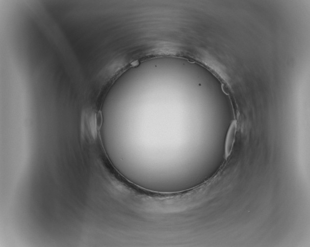 X0000110890013200906251326