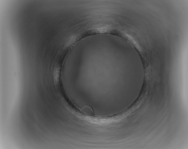 X0000110890018200906251326