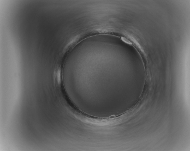X0000110890019200906251326