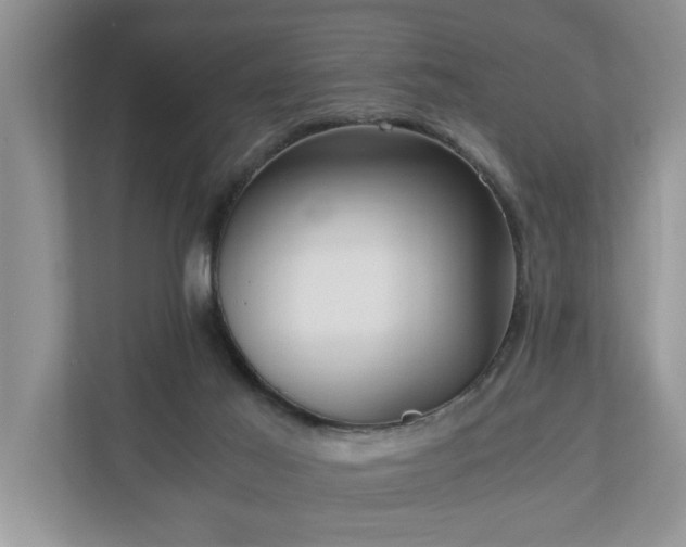 X0000110890021200906251326