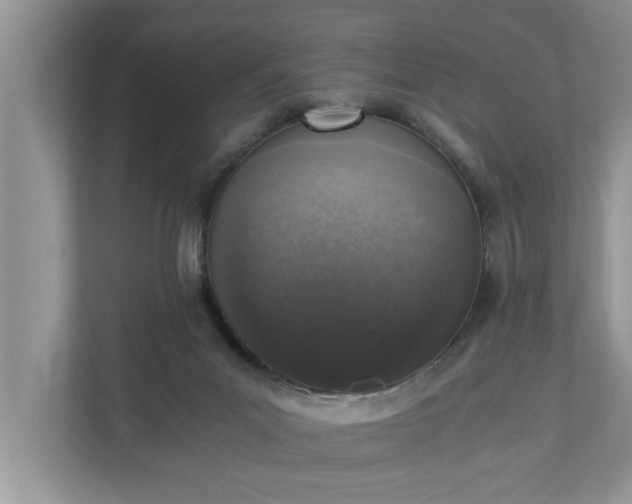 X0000110890023200906251326