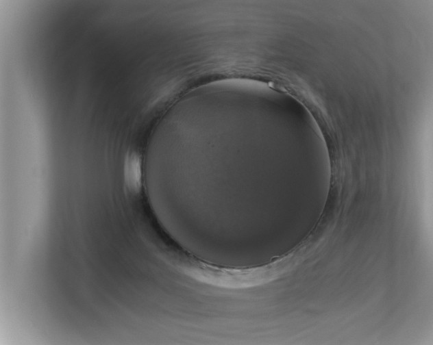 X0000110890027200906251326