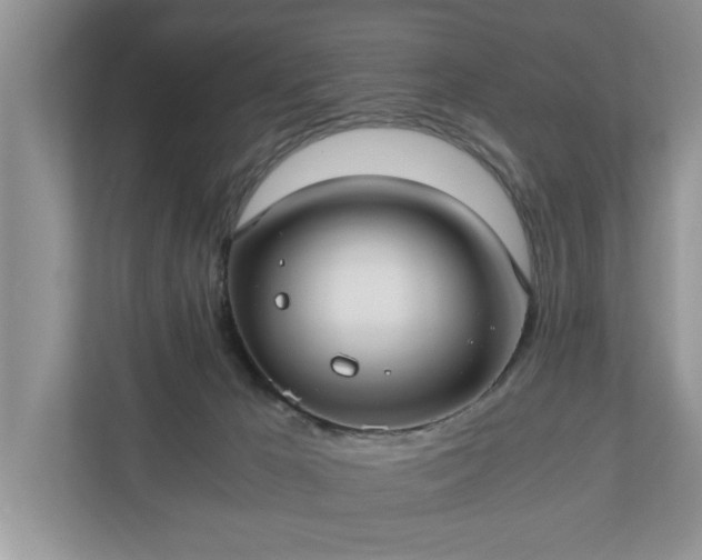 X0000110890029200906251326