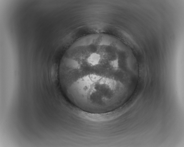 X0000110890030200906251326