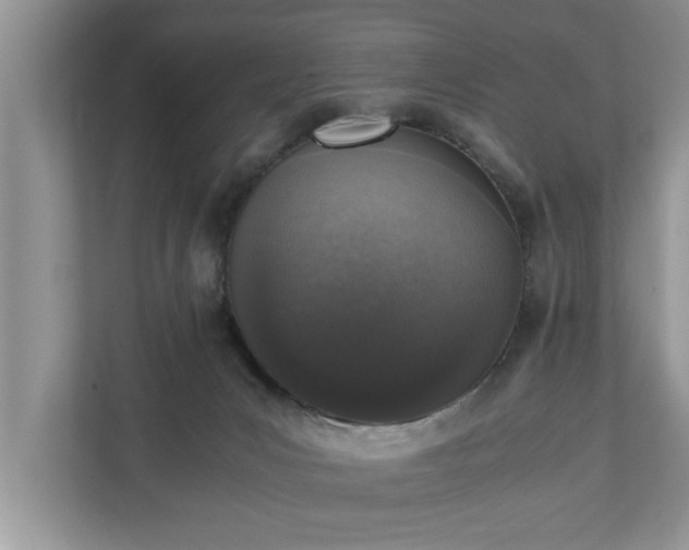 X0000110890031200906251326