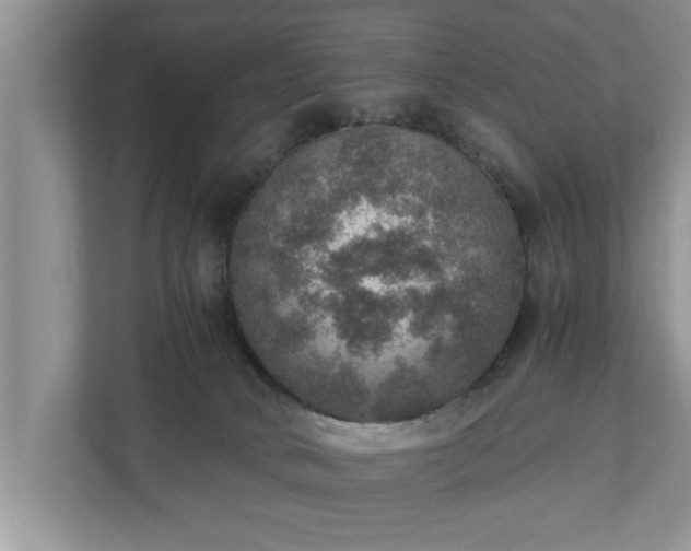 X0000110890034200906251326