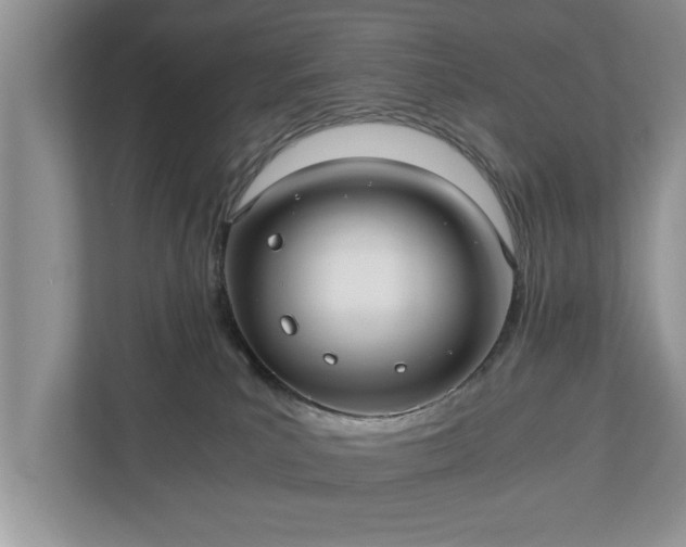 X0000110890039200906251326