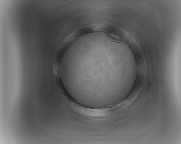 X0000110890044200906251326