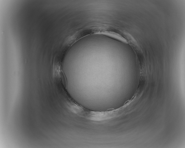 X0000110890045200906251326