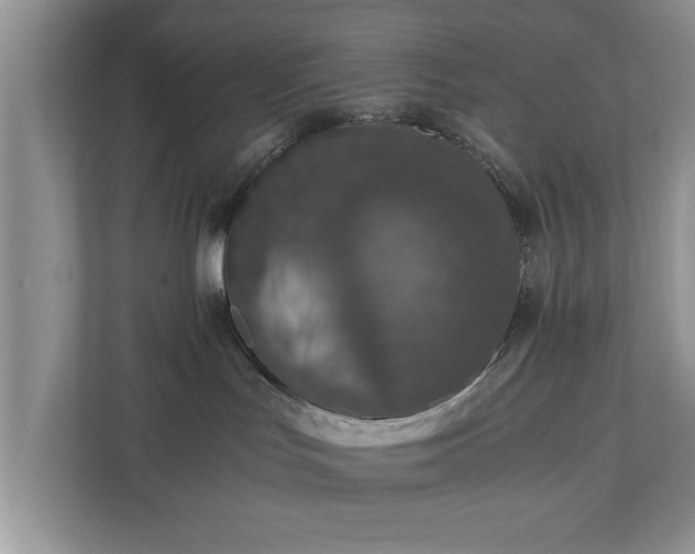 X0000110890047200906251326