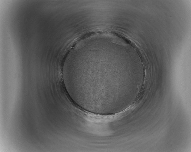X0000110890048200906251326