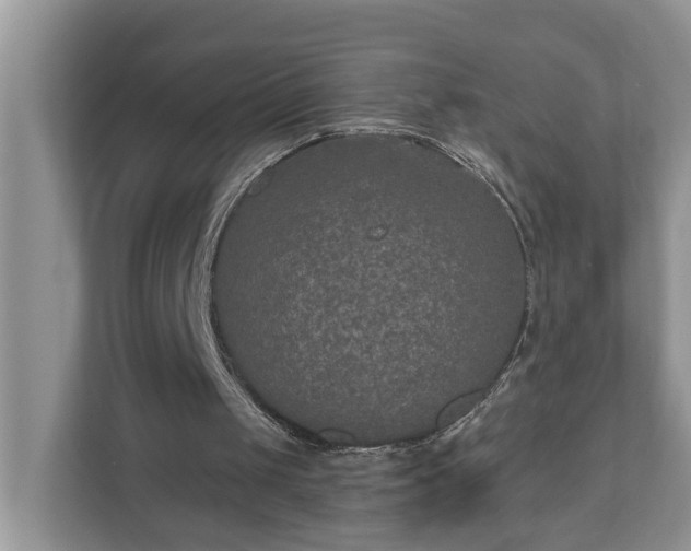 X0000110890049200906251325