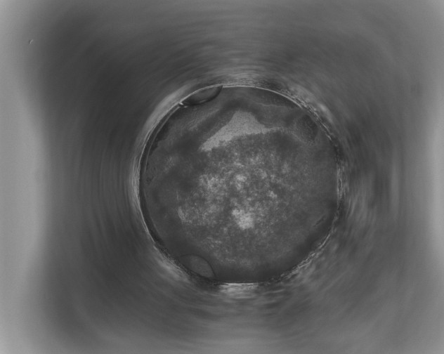 X0000110890051200906251325