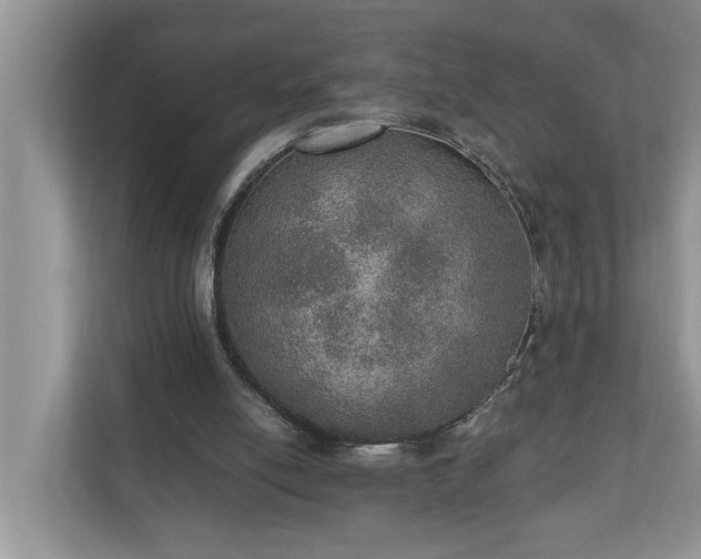 X0000110890054200906251325
