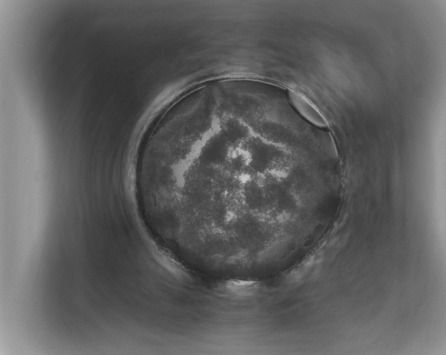 X0000110890055200906251325