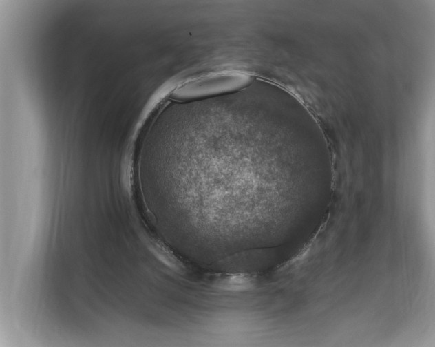 X0000110890056200906251325