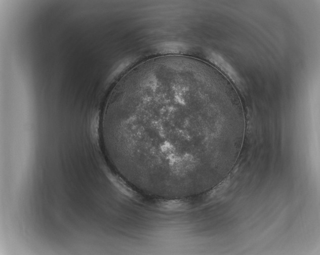 X0000110890058200906251326