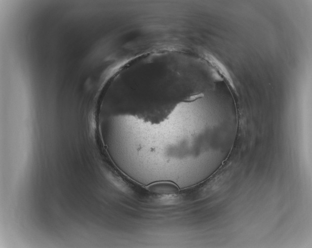 X0000110890059200906251326