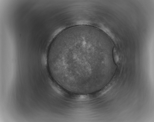 X0000110890060200906251326