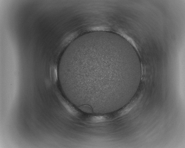 X0000110890061200906251326