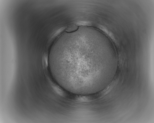 X0000110890062200906251326