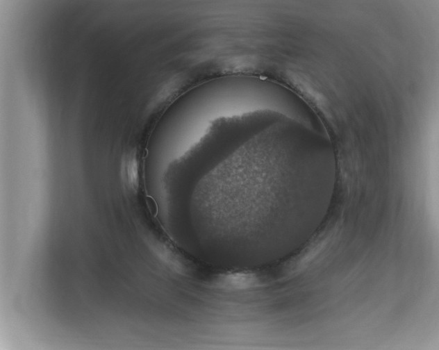 X0000110890067200906251326
