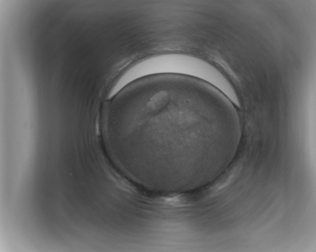 X0000110890068200906251326