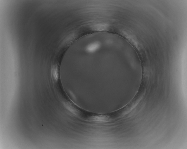X0000110890069200906251326
