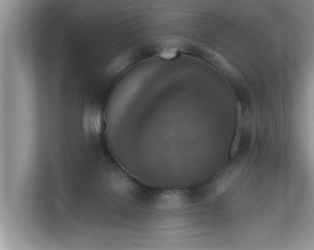 X0000110890076200906251326