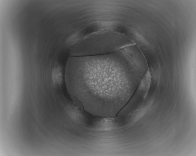 X0000110890080200906251326