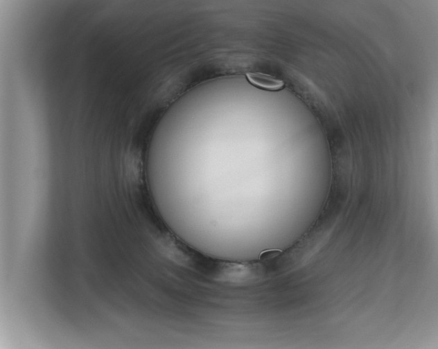 X0000110890083200906251326