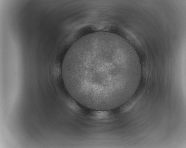 X0000110890085200906251326