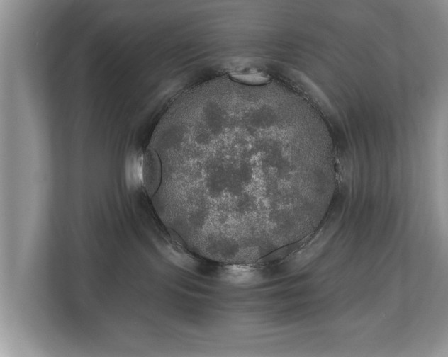 X0000110890095200906251326
