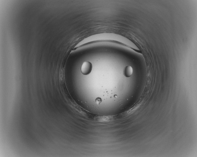 X0000110890096200906251326