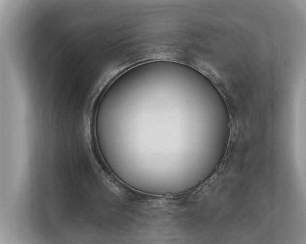 X0000110890098200906251325
