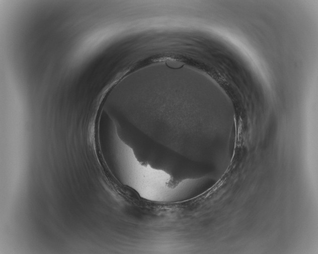 X0000110890099200906251325