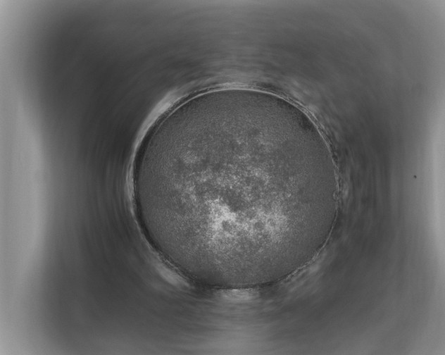 X0000110890102200906251325
