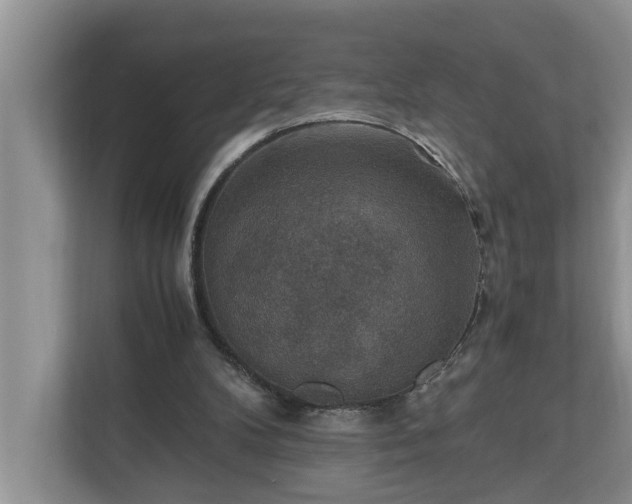 X0000110890104200906251325