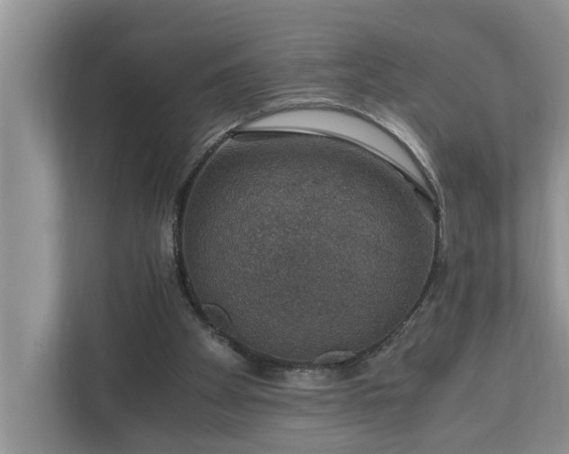 X0000110890105200906251325