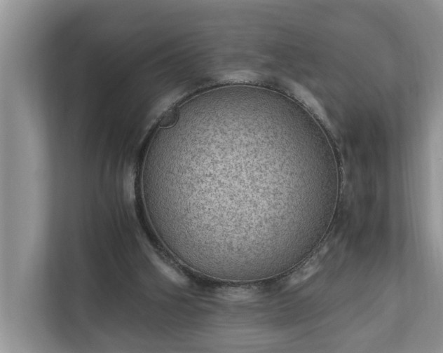 X0000110890106200906251325