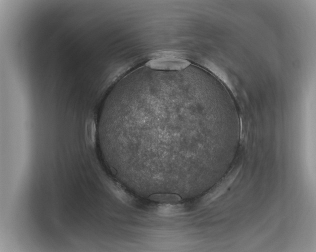 X0000110890109200906251325