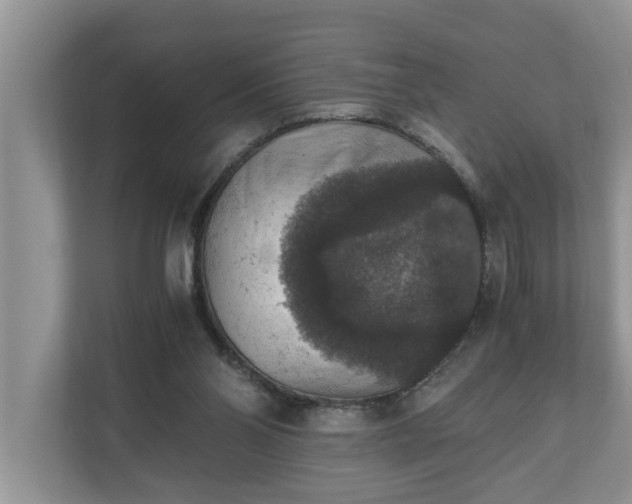 X0000110890110200906251325