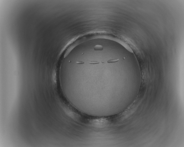 X0000110890112200906251325