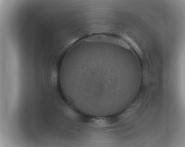 X0000110890113200906251325
