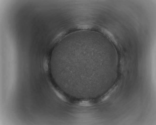 X0000110890114200906251325