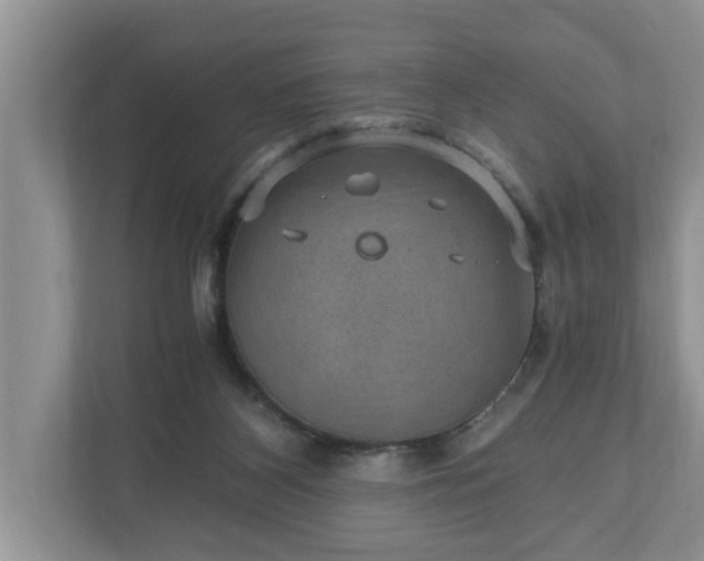 X0000110890116200906251325